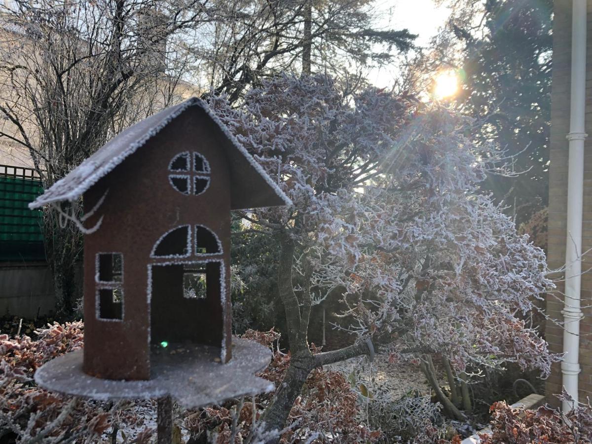 Bed and breakfast Le Jardin de Fresnes Extérieur photo